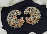 Unique Style Studs Earrings Elegant Collection